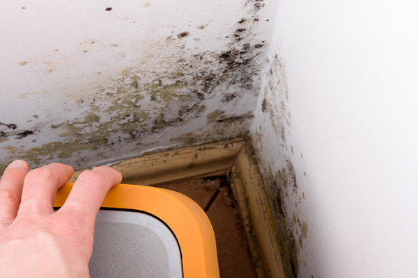 Damp Proofing Services Woolwich
